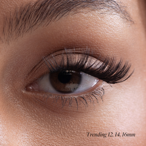 Fast Lash Clusters