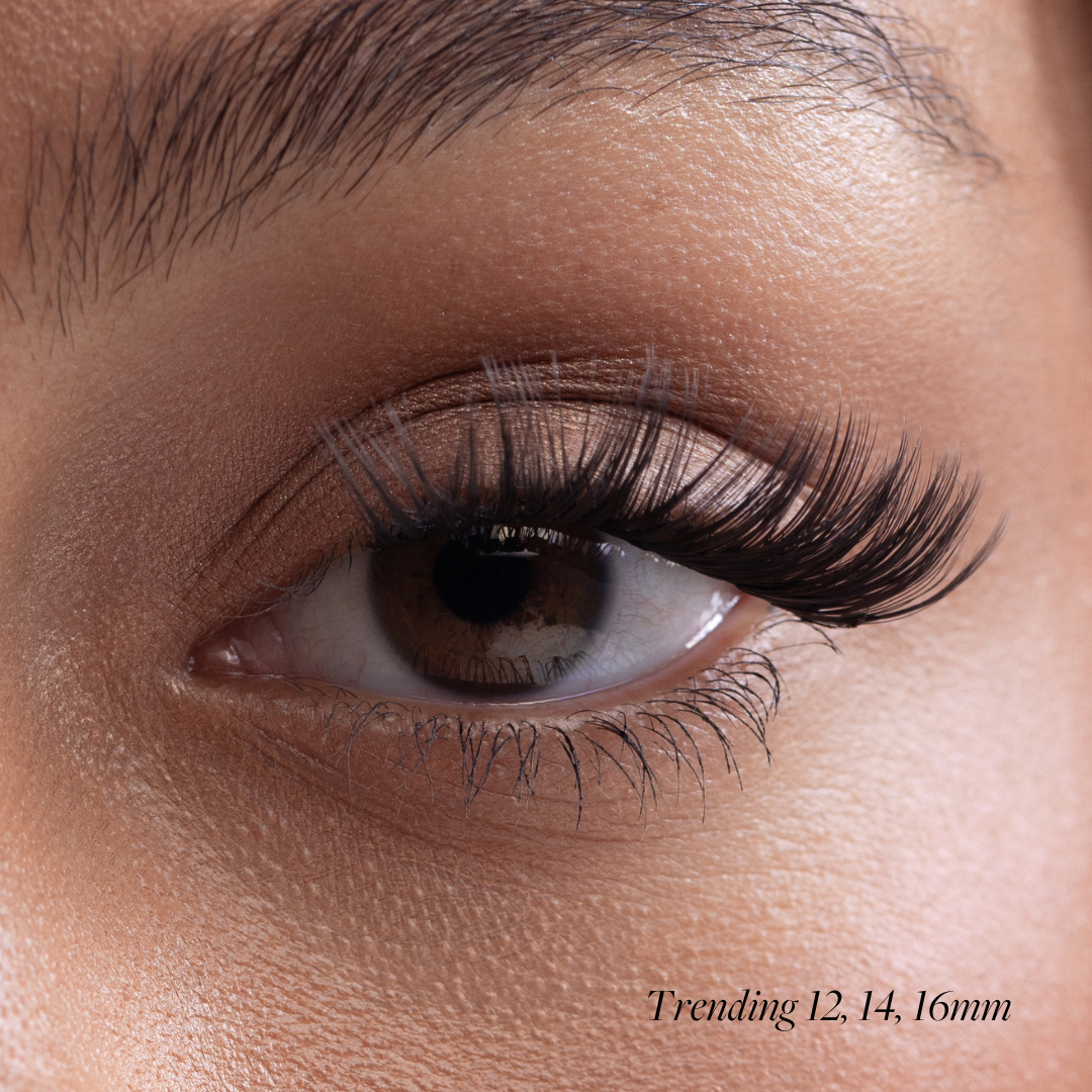 Trending: 12,14,16mm