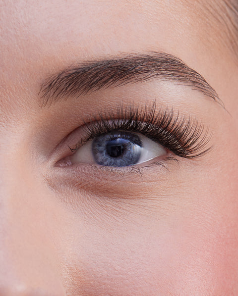 Limited Edition Fast Lashes - NEW