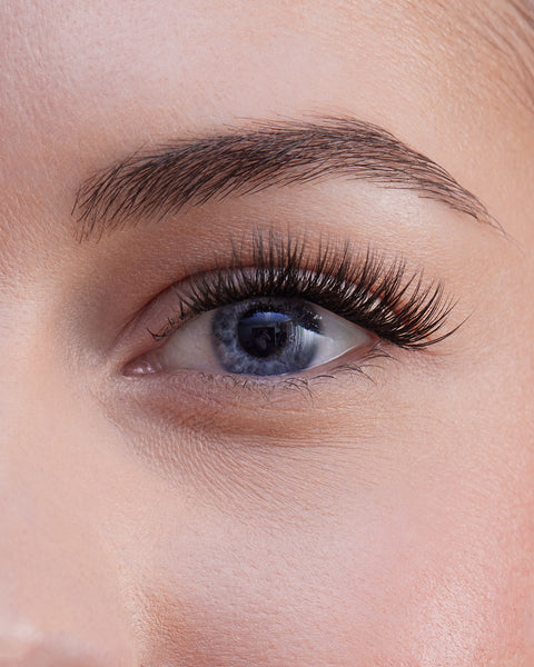 Limited Edition Fast Lashes - NEW