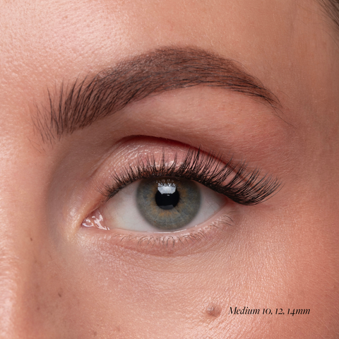 Lash Vitamins - Pre-Glued Cluster Lash Caffeine Pep Effect Starter Kit