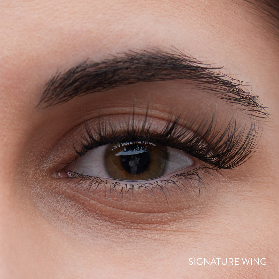Signature Wing